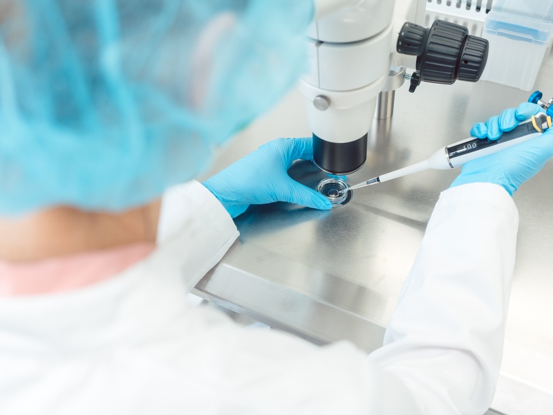 The Benchmark Clinic in Assisted Reproduction (Spain)